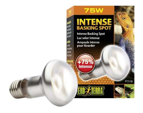75W Basking Lamp Tight Beam