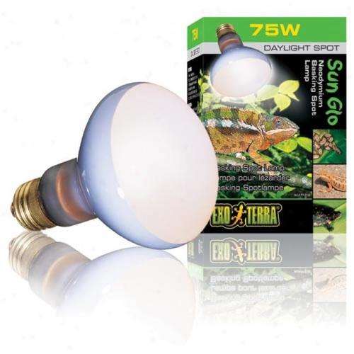 Exo Terra 75W Basking Lamp