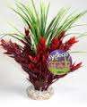 FIESTA AQUA ATOLL