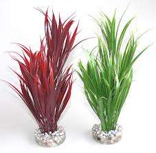 SWORD PLANT