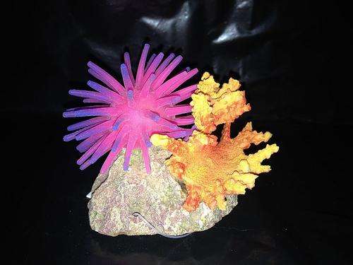 Coral Ornament