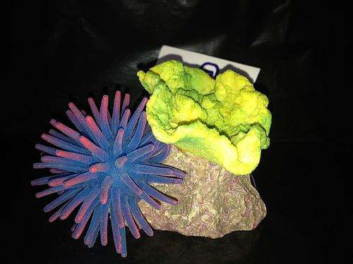 Coral Ornament