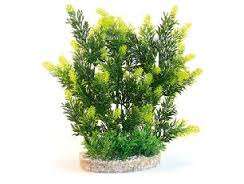 Sydeco HEDGE