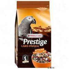 VERSELE LAGA AFRICAN PARROT