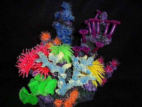 ORNAMENT - Coral
