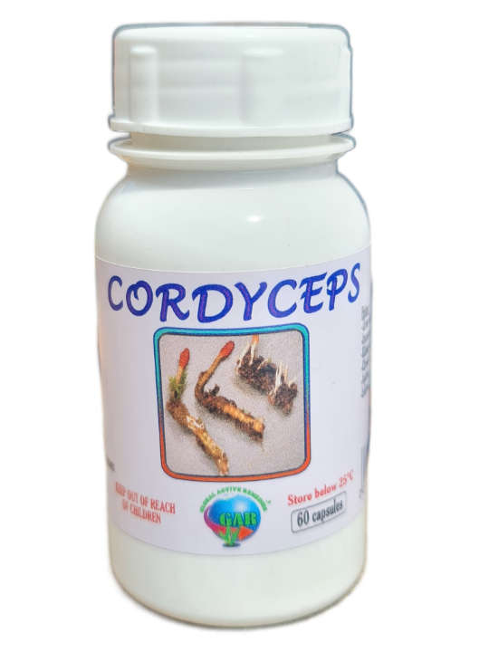 Cordyceps Capsules