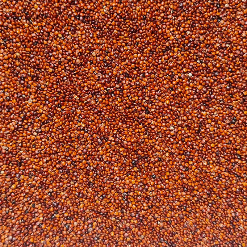 Red Quinoa 1kg