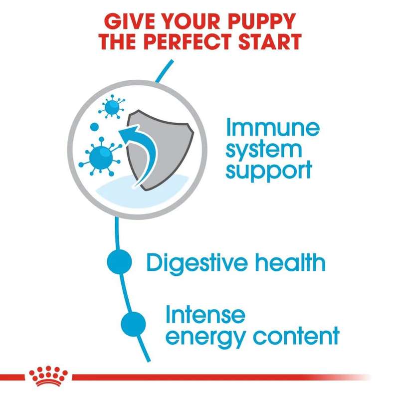 Royal Canin Mini Puppy 8kg