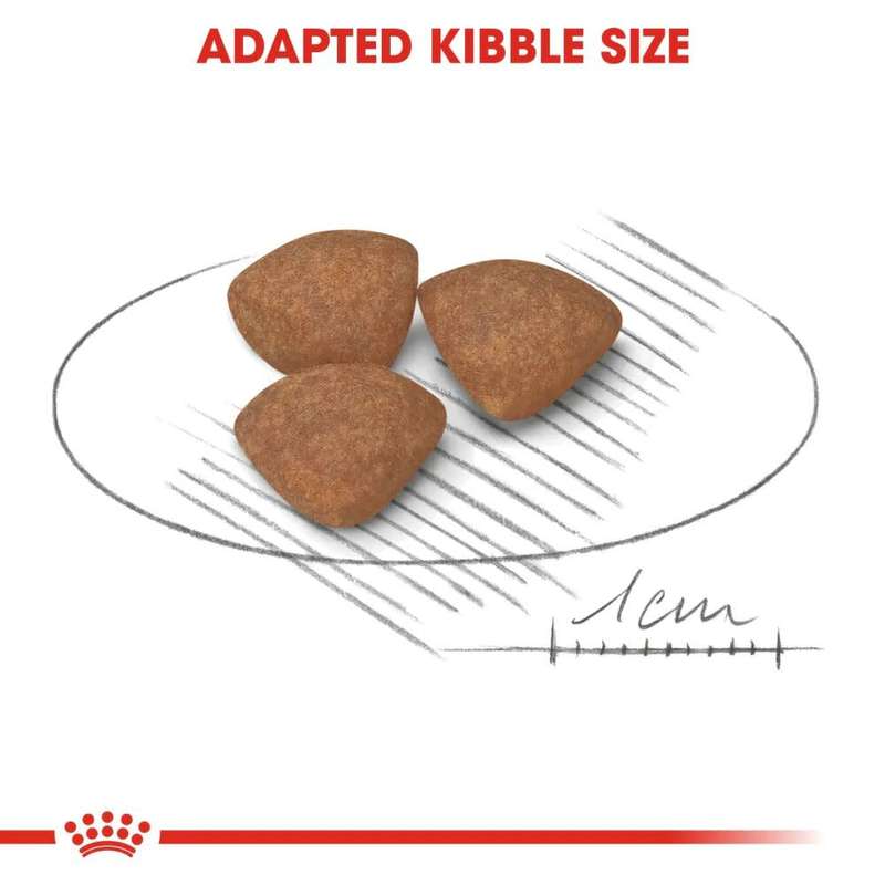 Royal Canin Mini Puppy 8kg