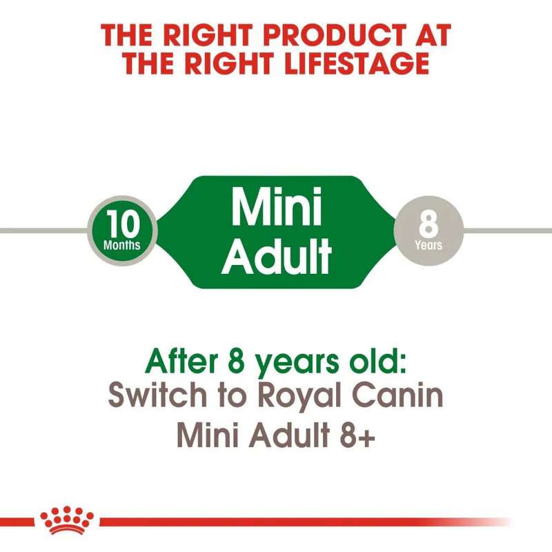 Royal Canin Mini Adult 2kg