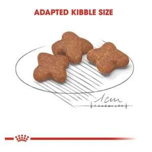 Royal Canin Mini Adult 8+ 2kg