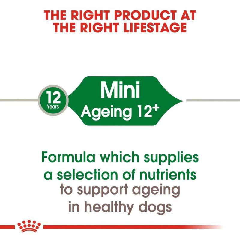 Royal Canin Mini Ageing +12 1.5kg