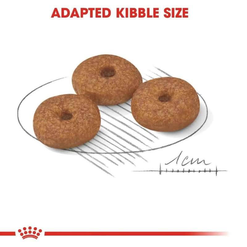 Royal Canin Mini Ageing +12 1.5kg