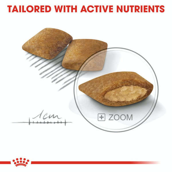 Royal Canin Mini Exigent 1kg