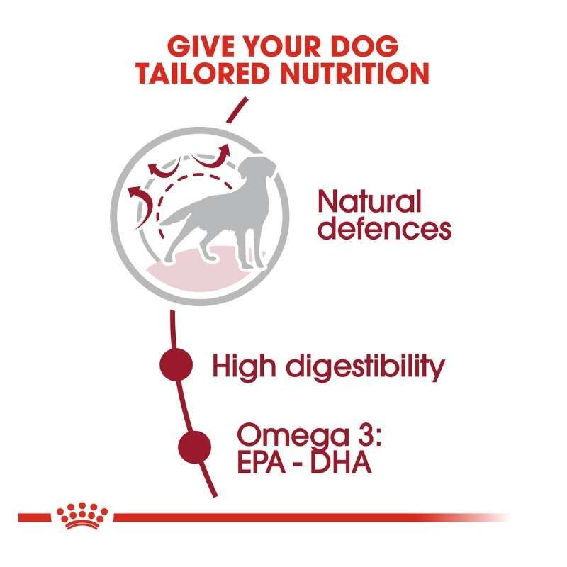 Royal Canin Medium Adult 15kg