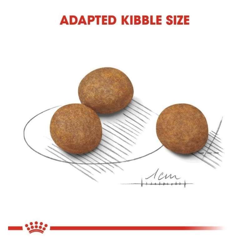Royal Canin Maxi Puppy 15kg