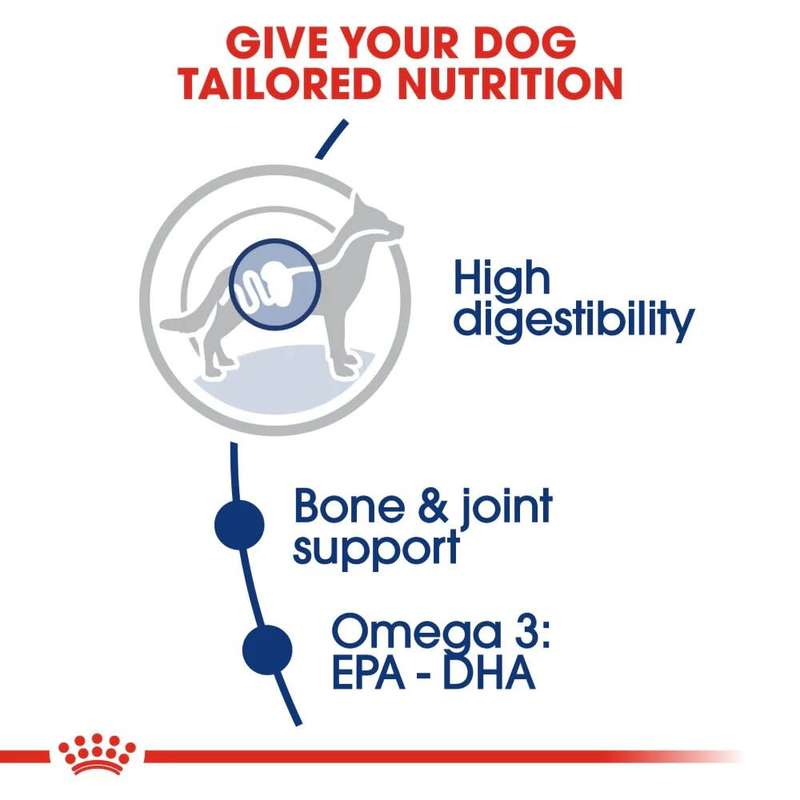 Royal Canin Maxi Adult 15kg