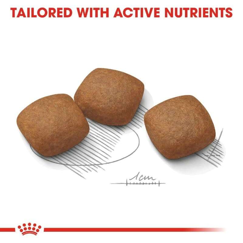 Royal Canin Maxi Joint Care 10kg