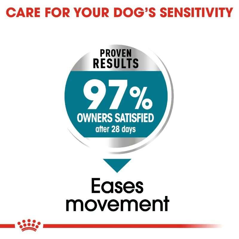 Royal Canin Maxi Joint Care 10kg