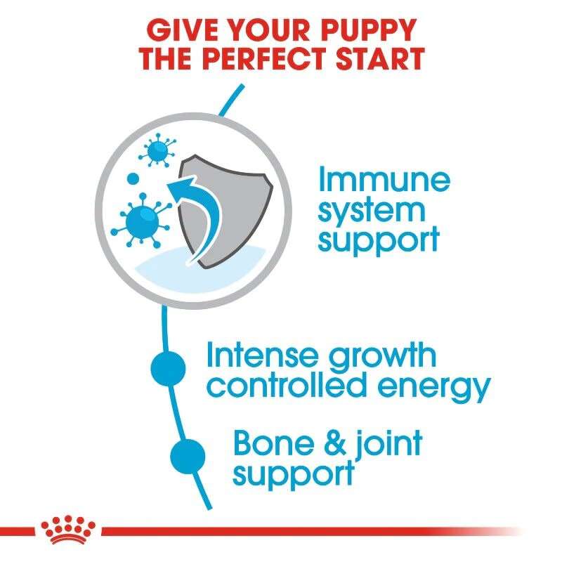 Royal Canin Giant Puppy 15kg