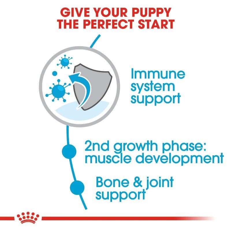 Royal Canin Giant Junior 15kg