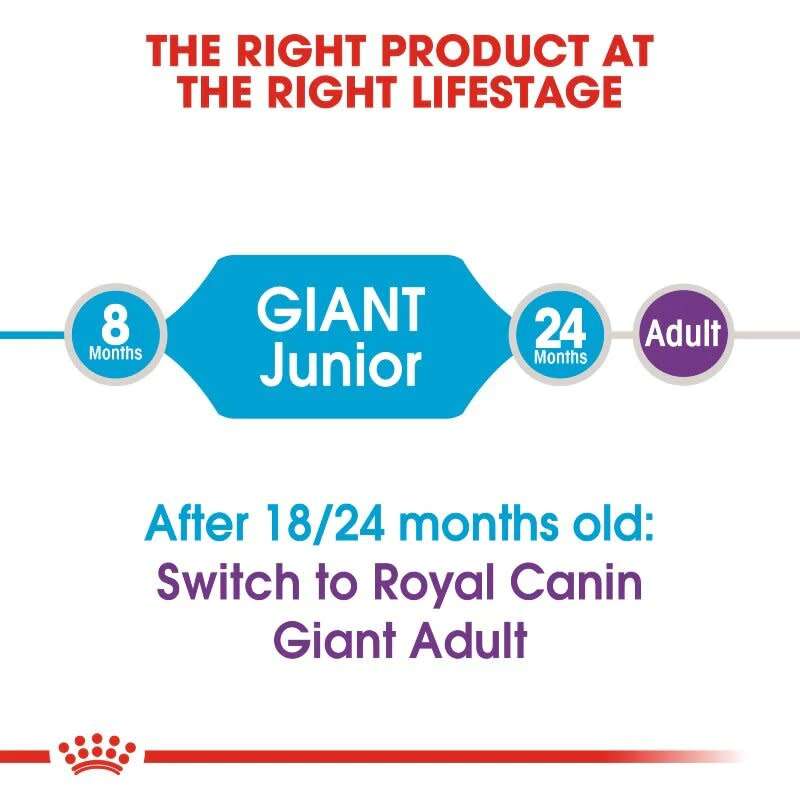 Royal Canin Giant Junior 15kg