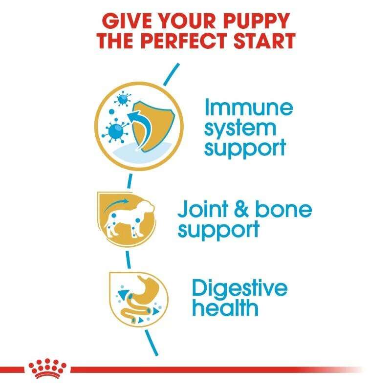 Royal Canin Dachshund Puppy 1.5kg