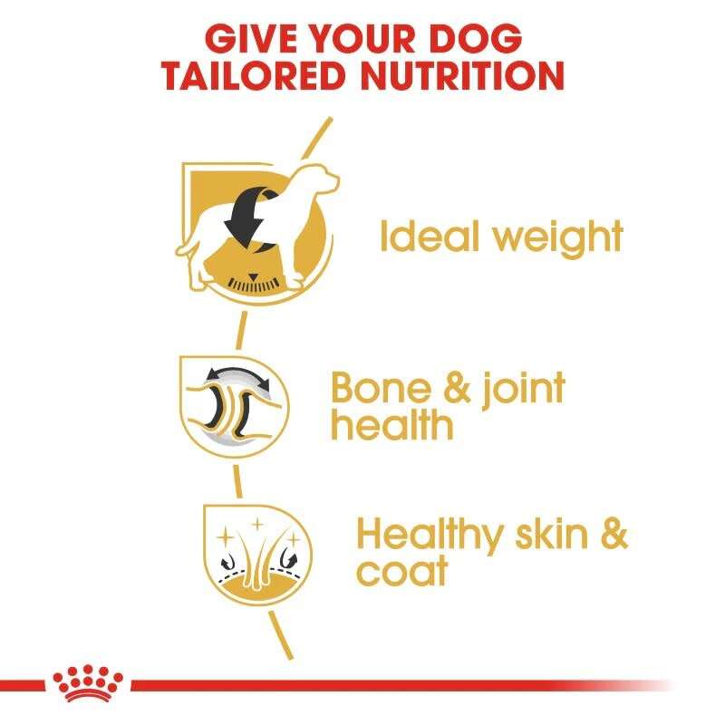 Royal Canin Labrador Adult 12kg