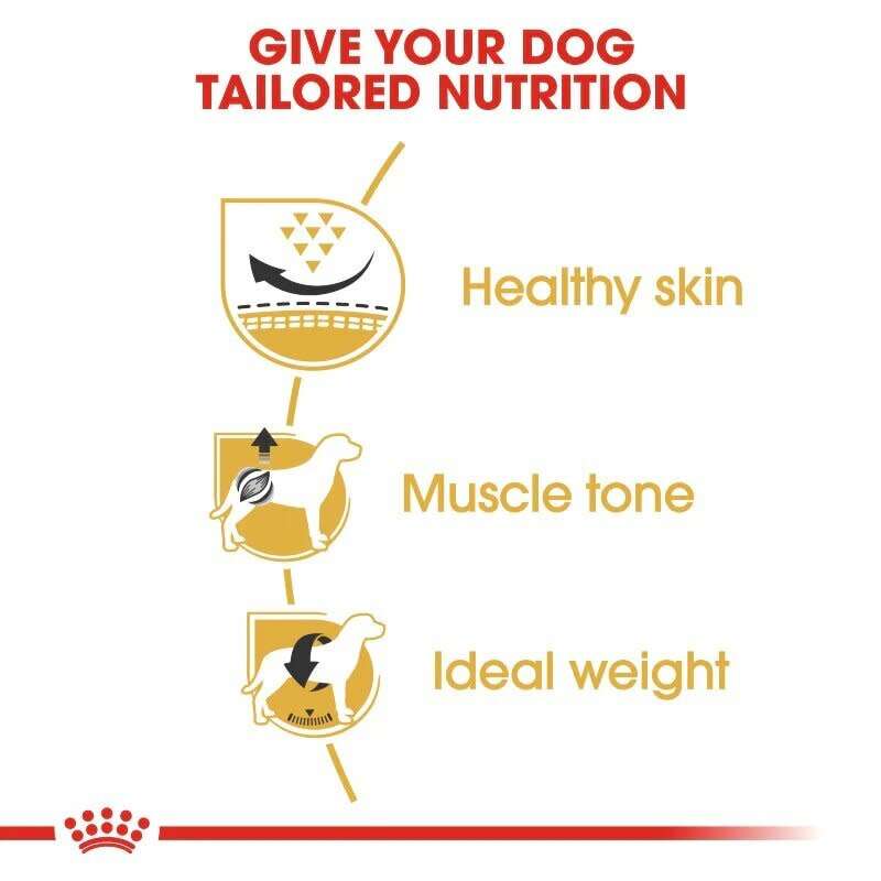 Royal Canin Pug Adult 3kg