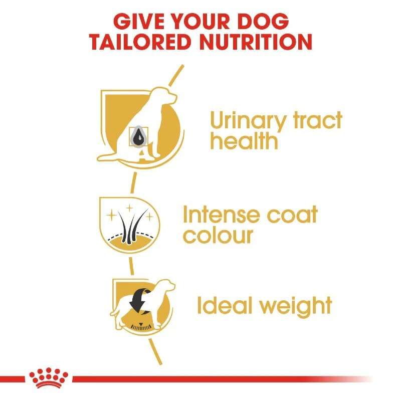 Royal Canin Schnauzer Adult 3kg