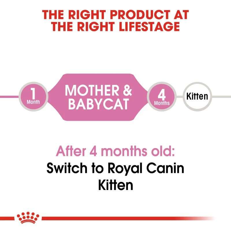 Royal Canin Mother and Babycat 2kg