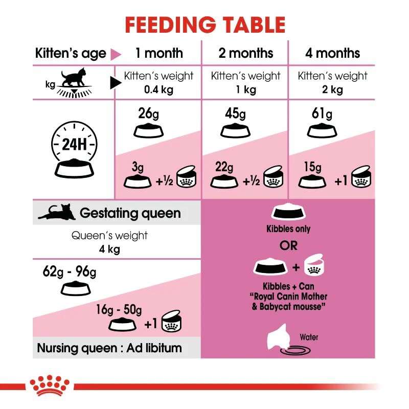 Royal Canin Mother and Babycat 2kg