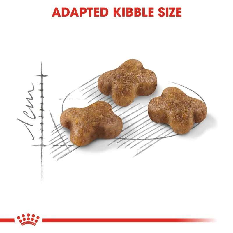 Royal Canin Kitten 2kg
