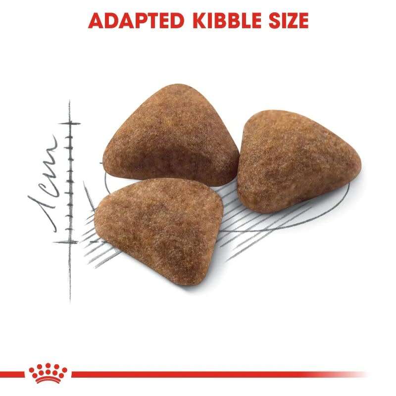 Royal Canin Indoor 4kg