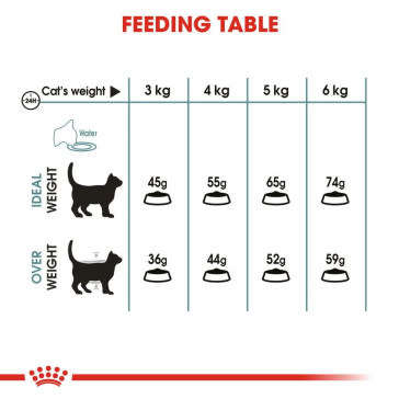 Royal Canin Hairball Care 4kg