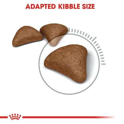 Royal Canin Hairball Care 4kg