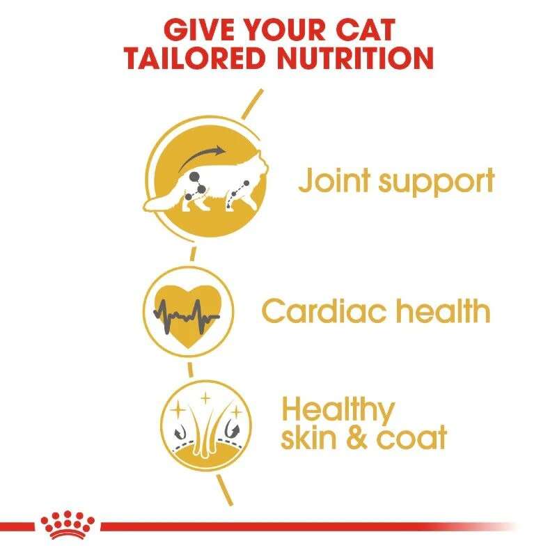 Royal Canin Maine Coon Adult 4kg