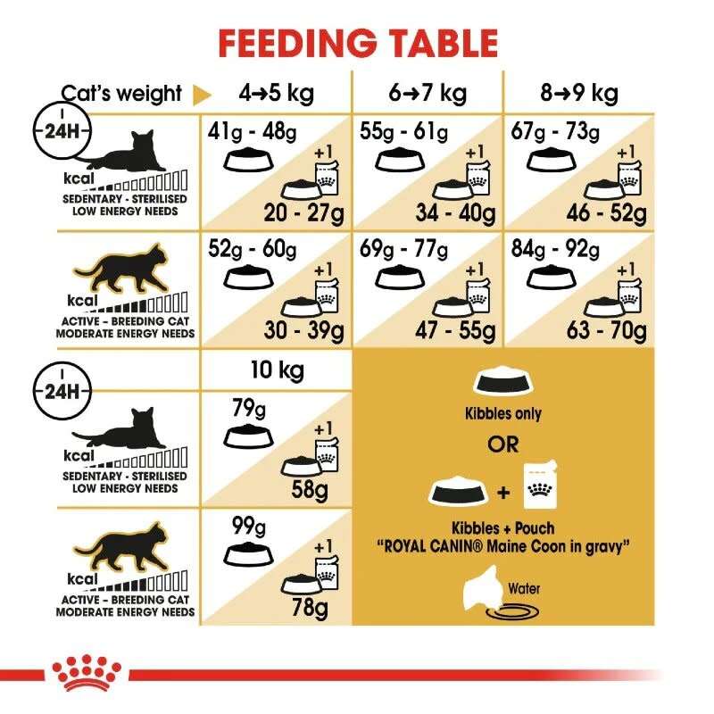 Royal Canin Maine Coon Adult 4kg