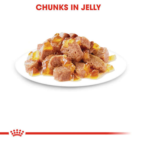 Royal Canin Instinctive Jelly Pouches - 12x85g