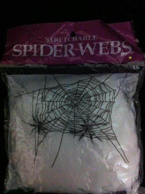 Spider web