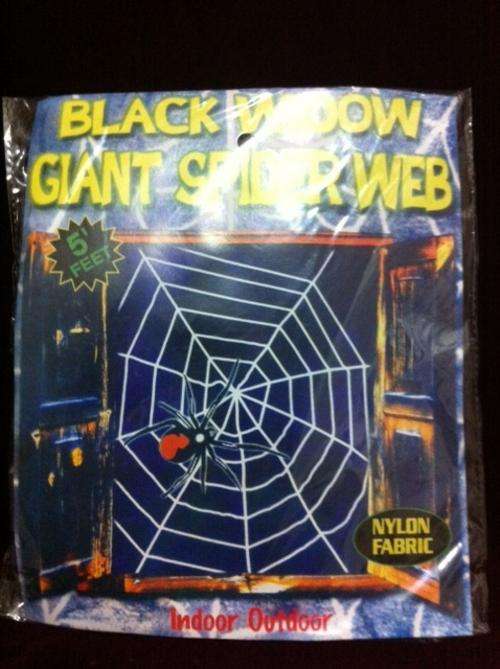 Giant spider web