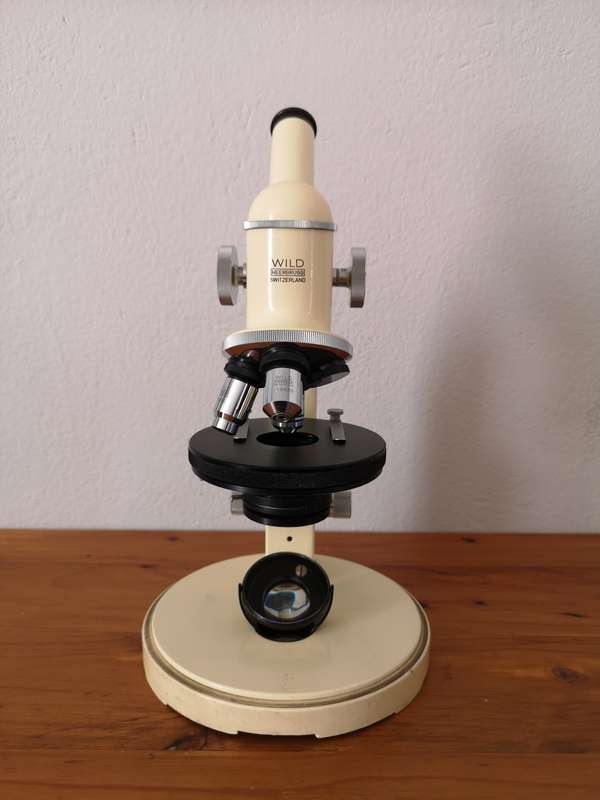 Vintage Swiss-made Wild Heerbrugg field microscope