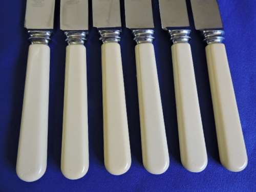 Vintage Bone Handle Set 6 Dinner Knives Boxed