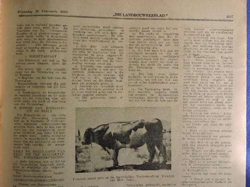 Die Landbouweekblad Tydskrif Februarie 1925  ( Ja, 1925 )