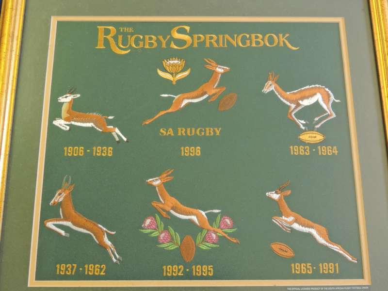 Rugby Springbok Emblem Embroidery Framed 1906 - 1995  Limited 512/1000