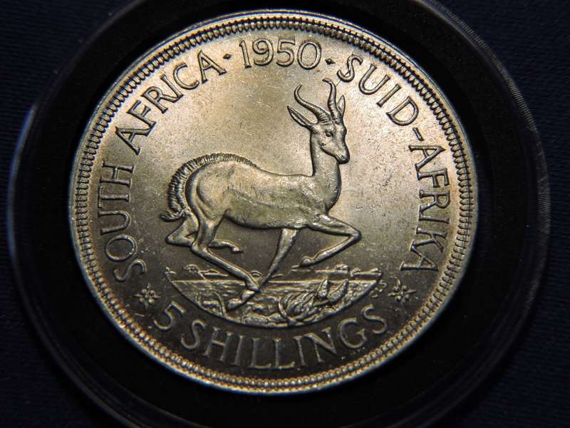 1950 SA Union 5 Shilling Crown Silver coin  # AMAZING CONDITION #