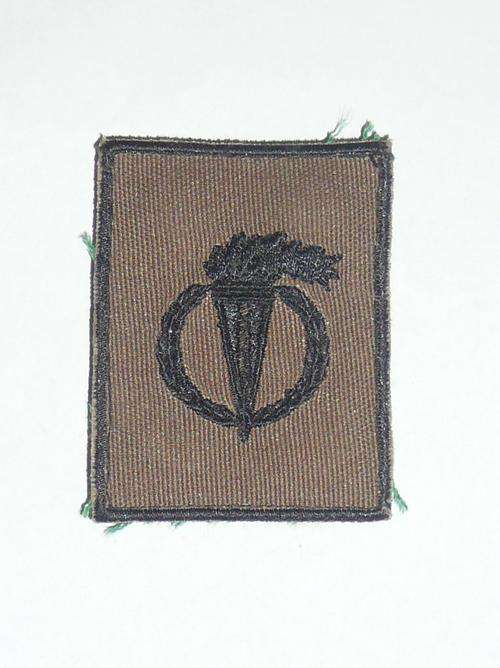 PATHFINDER CLOTH NUTRIA BADGE