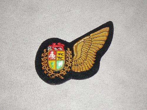 SAAF NAVIGATOR  WING