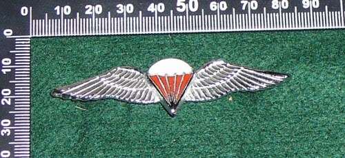 SADF EARLY  FREEFALL PARATROOPER WING