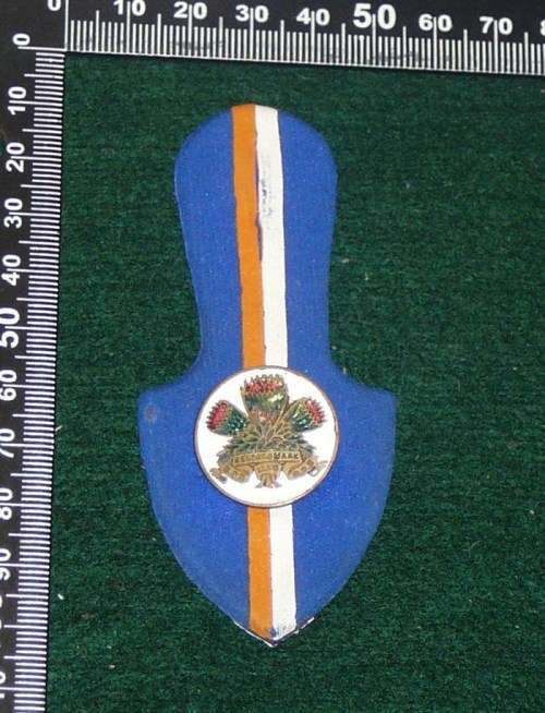 SADF 1 SPECIAL SERVICE BATTALION AFFILIATION FOB